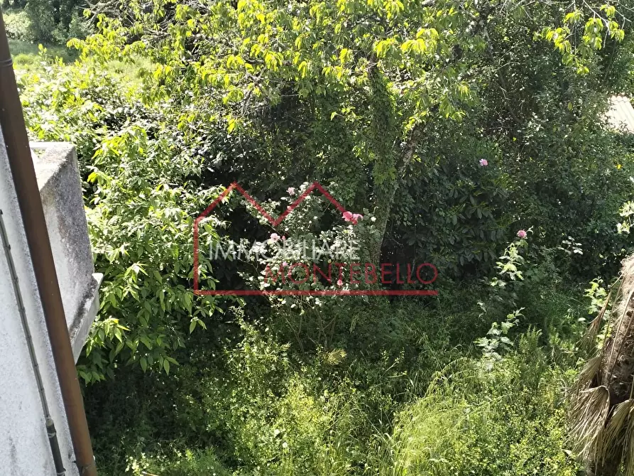 Immagine 17 di Casa bifamiliare in vendita  a Camaiore