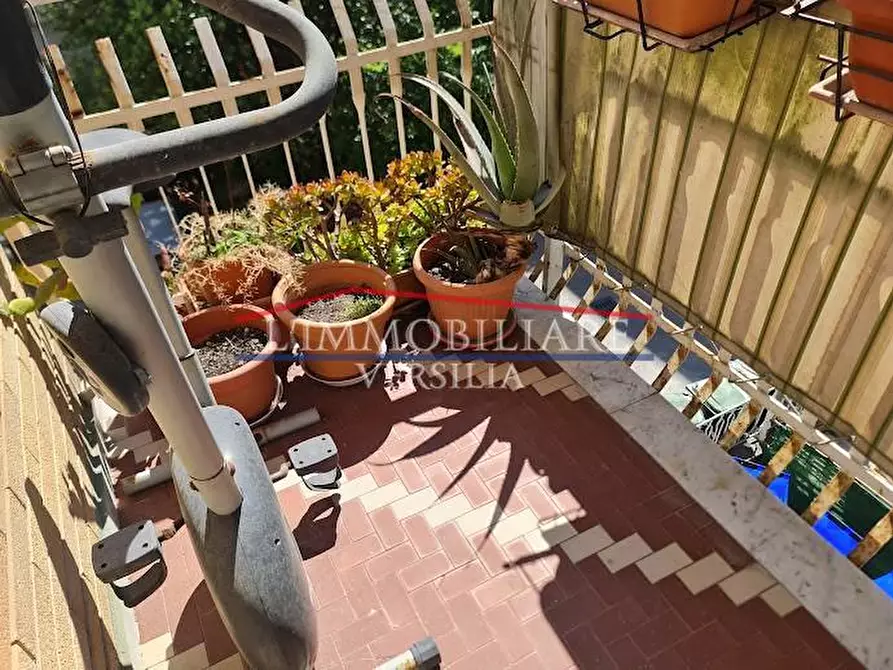 Immagine 22 di Appartamento in vendita  a Carrara