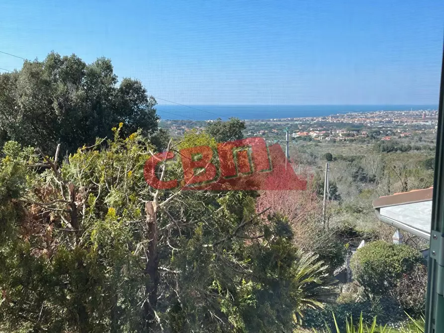 Immagine 5 di Villa in vendita  a Livorno