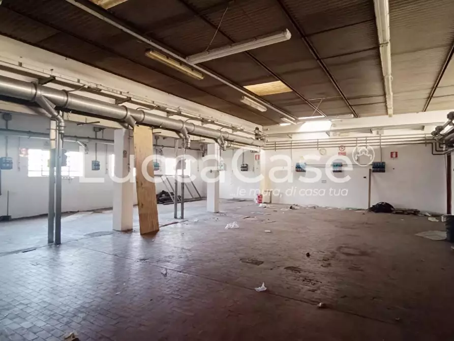 Immagine 4 di Attività artigianale in affitto  a Capannori