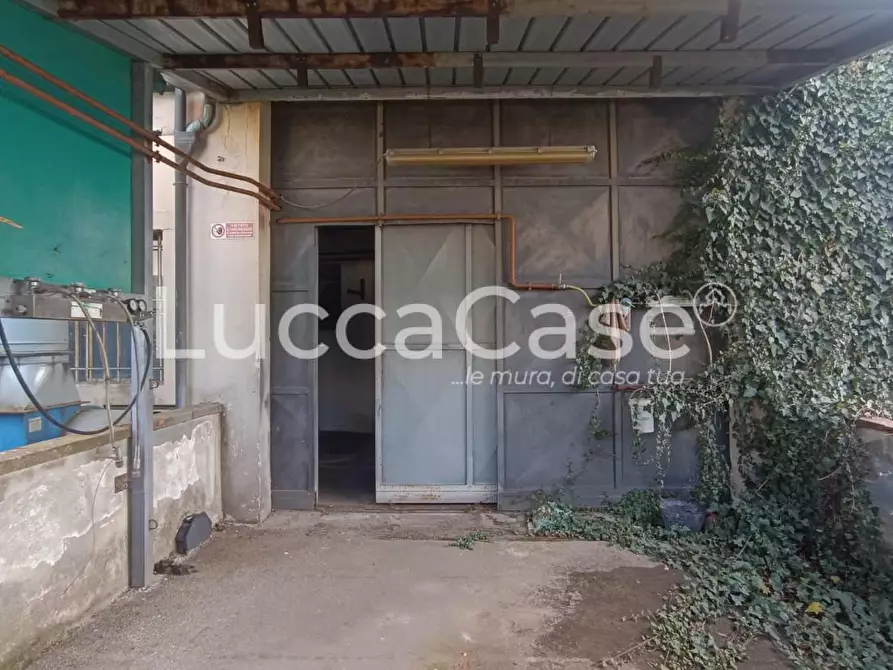 Immagine 16 di Attività artigianale in affitto  a Capannori