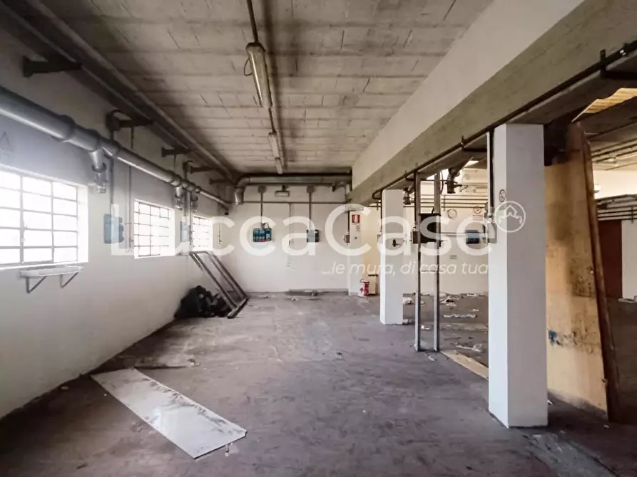 Immagine 3 di Attività artigianale in affitto  a Capannori