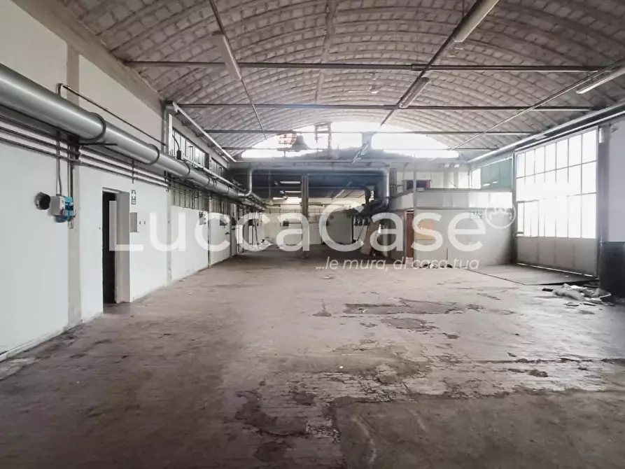 Immagine 2 di Attività artigianale in affitto  a Capannori