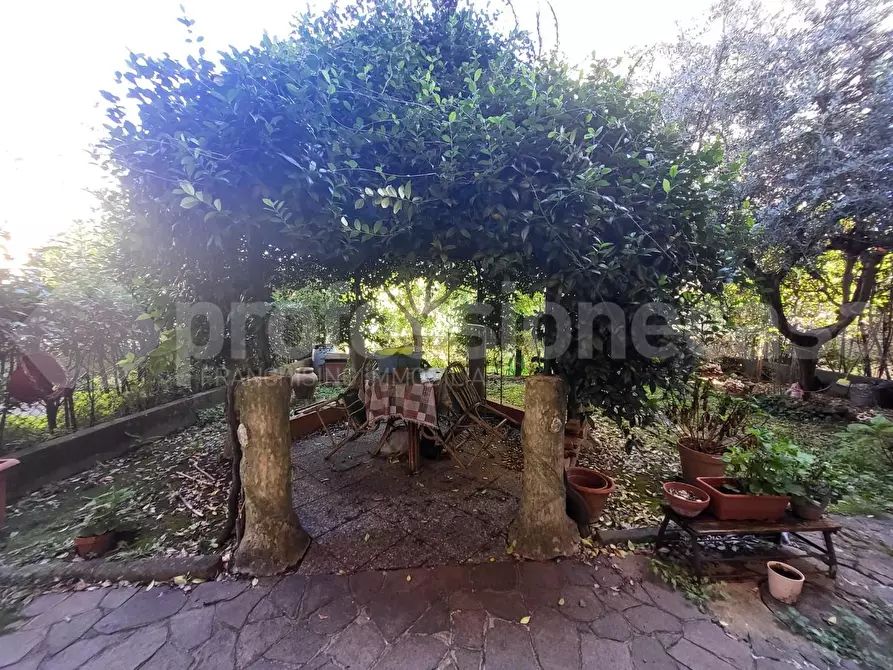 Immagine 13 di Appartamento in vendita  a Pisa