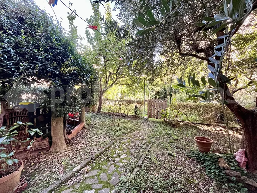 Immagine 7 di Appartamento in vendita  a Pisa