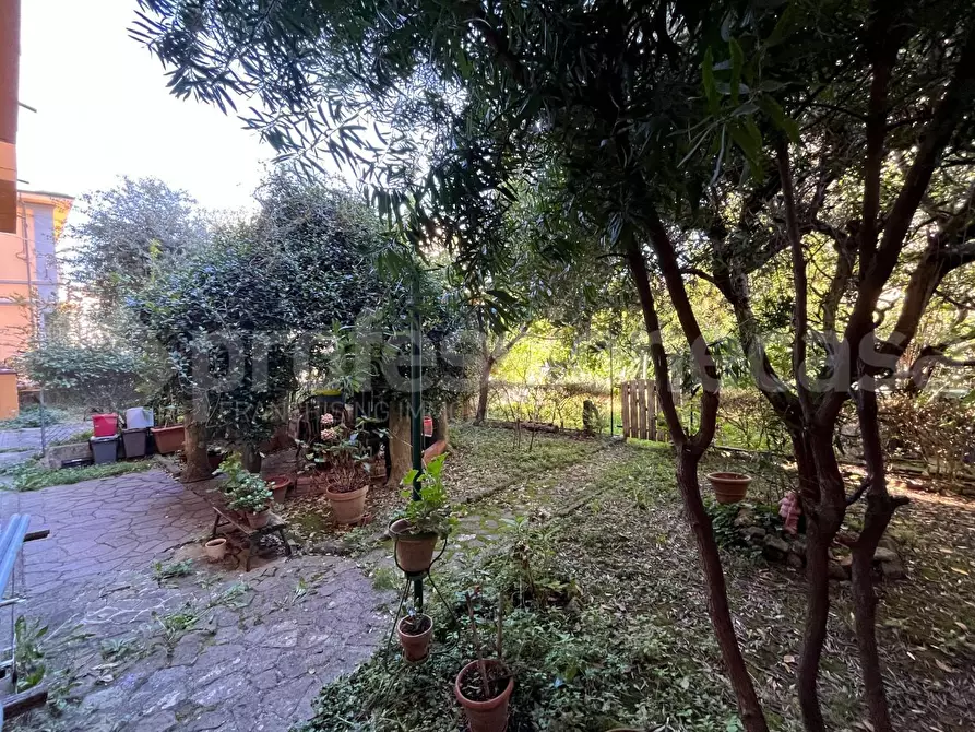 Immagine 10 di Appartamento in vendita  a Pisa