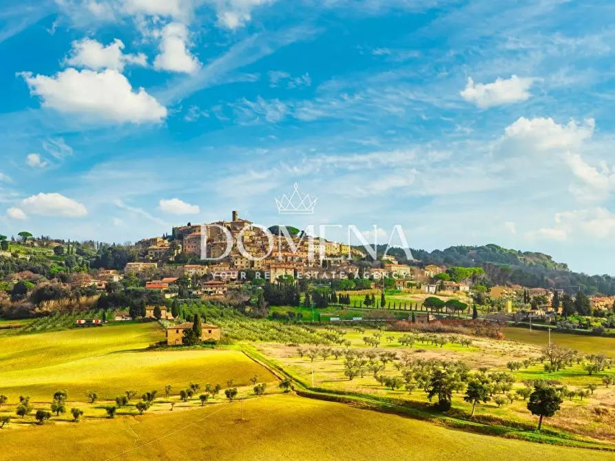 Immagine 64 di Villa in vendita  a Casale Marittimo