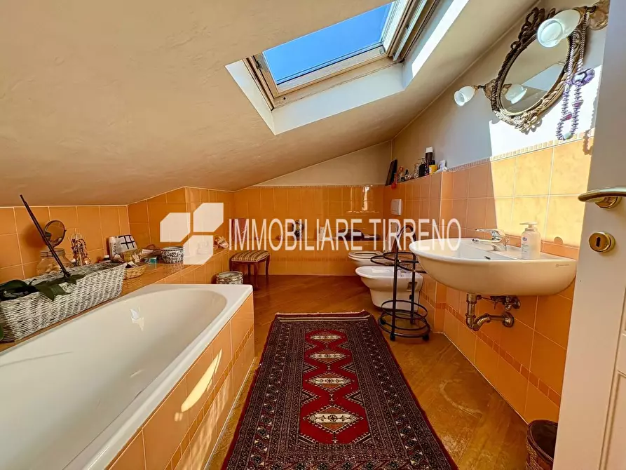 Immagine 21 di Villa in vendita  a Massa