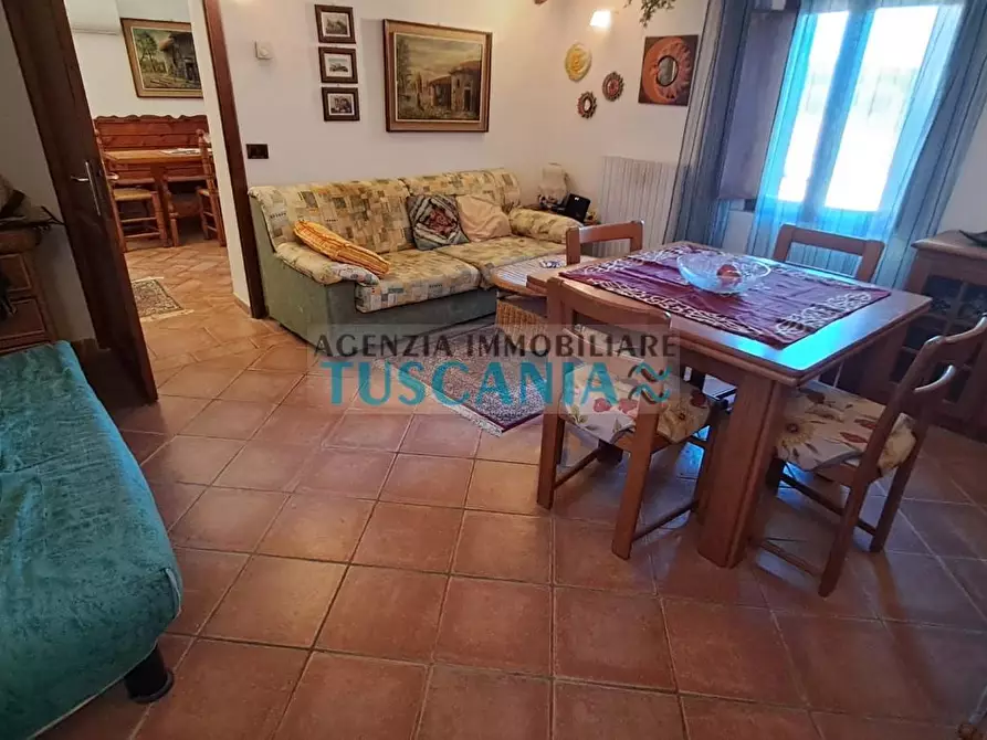 Immagine 8 di Appartamento in vendita  a Cecina