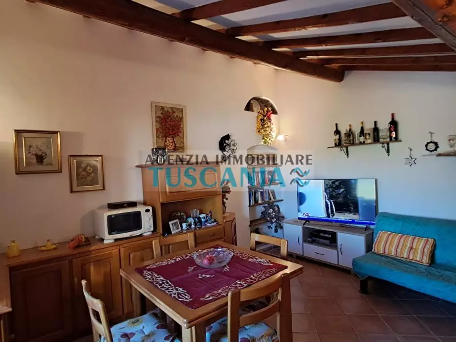 Immagine 7 di Appartamento in vendita  a Cecina