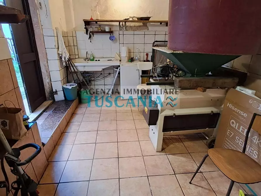 Immagine 18 di Appartamento in vendita  a Cecina