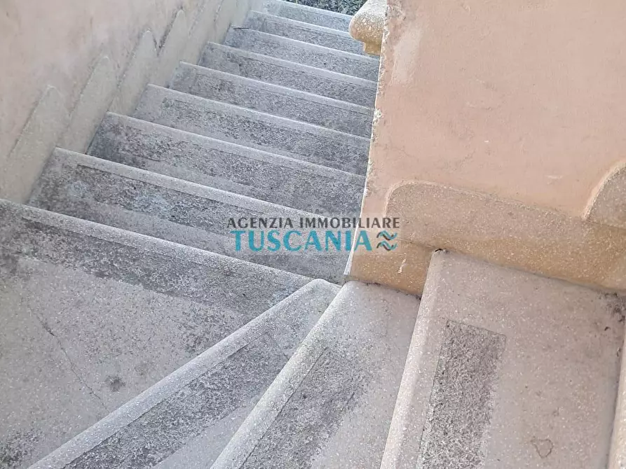 Immagine 15 di Appartamento in vendita  a Cecina