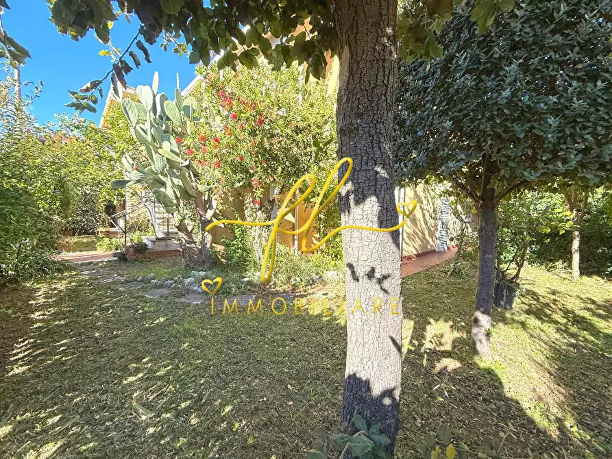 Immagine 32 di Villa in vendita  a Cecina