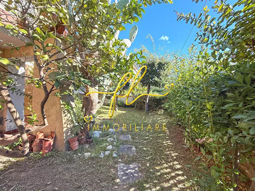 Immagine 29 di Villa in vendita  a Cecina