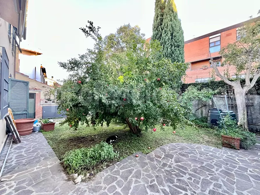 Immagine 6 di Terratetto in vendita  a Pisa