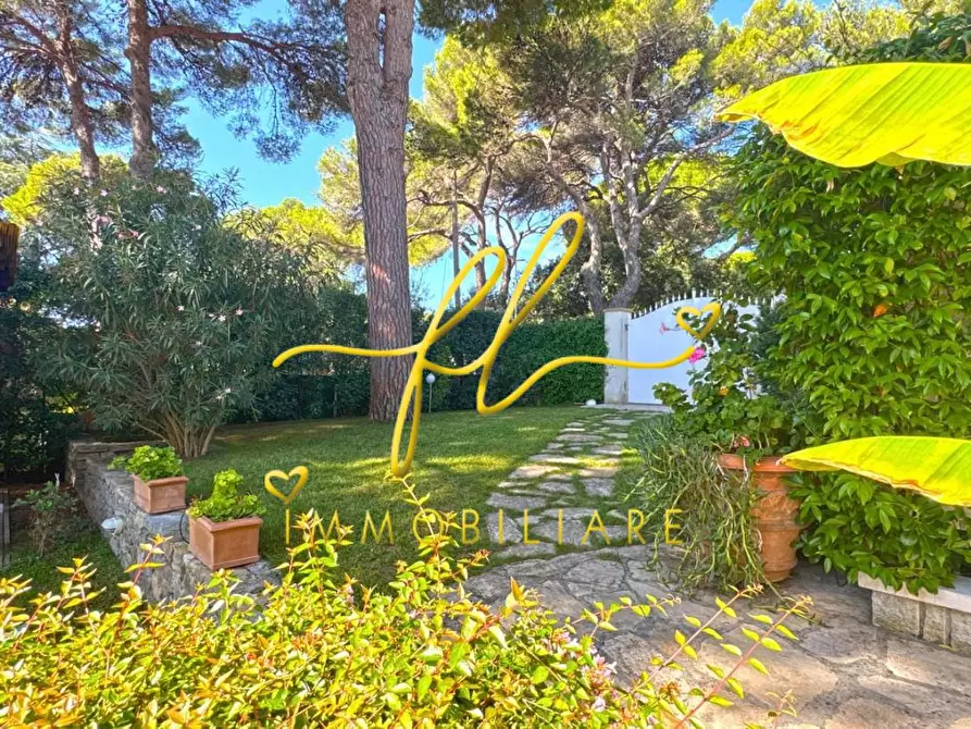 Immagine 5 di Appartamento in vendita  a Rosignano Marittimo