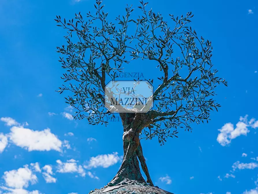 Immagine 5 di Attività commerciale in vendita  a Pietrasanta