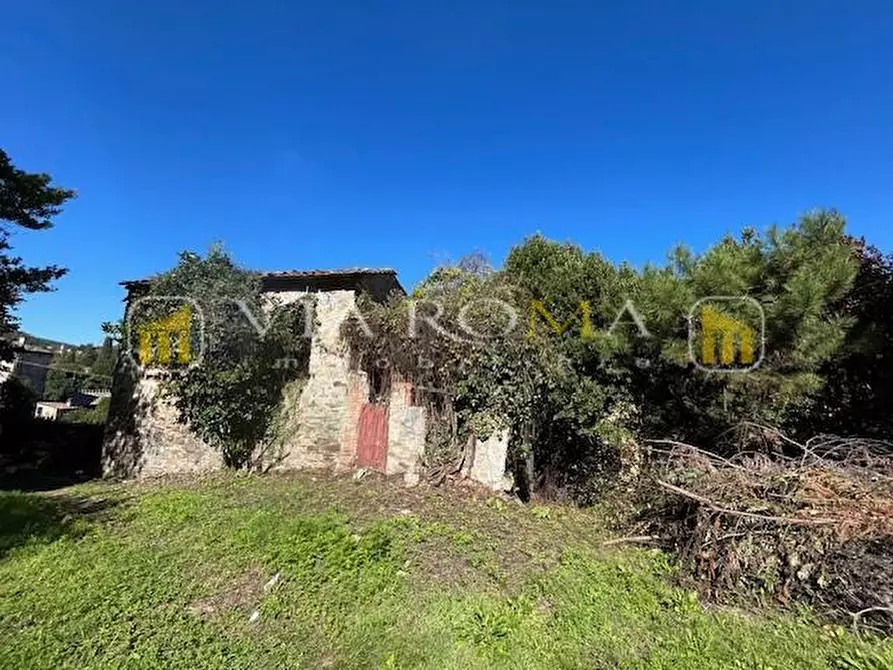 Immagine 8 di Casa colonica in vendita  a Capannori