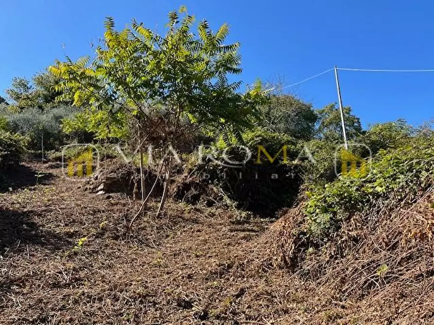 Immagine 3 di Casa colonica in vendita  a Capannori