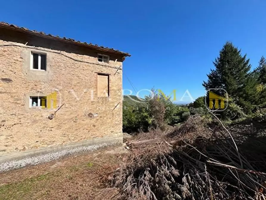 Immagine 5 di Casa colonica in vendita  a Capannori