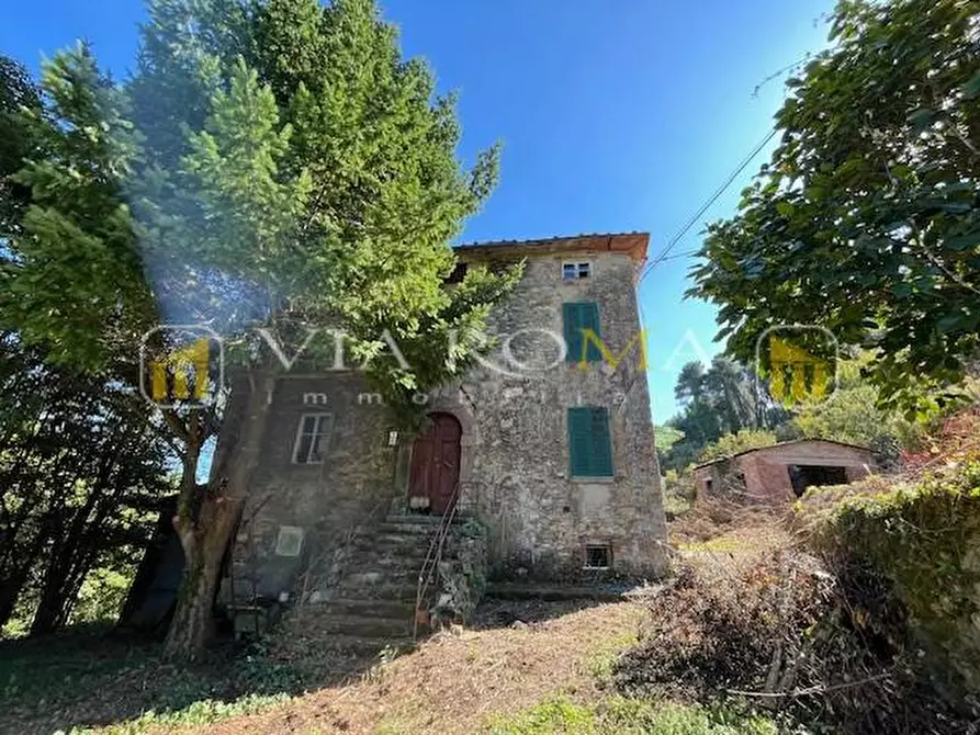 Immagine 7 di Casa colonica in vendita  a Capannori