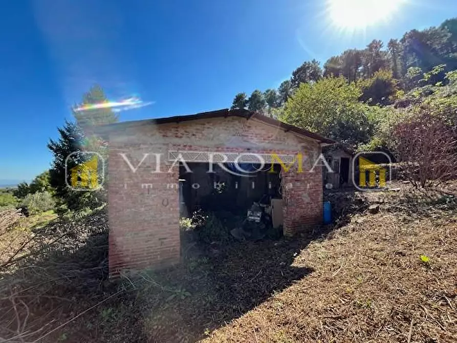 Immagine 4 di Casa colonica in vendita  a Capannori