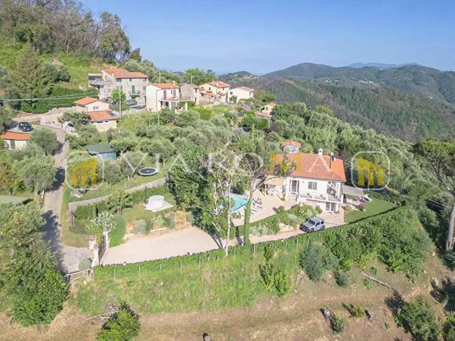 Immagine 16 di Villa in vendita  a Camaiore