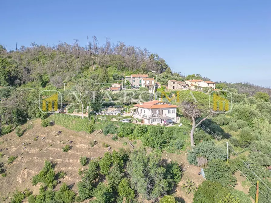 Immagine 18 di Villa in vendita  a Camaiore