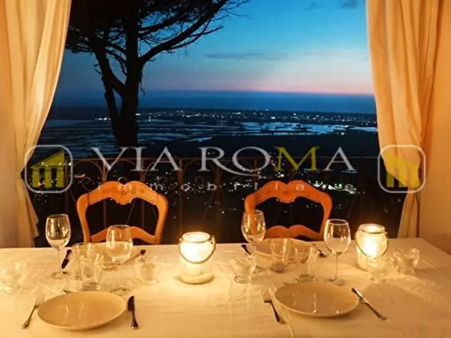 Immagine 36 di Villa in vendita  a Camaiore