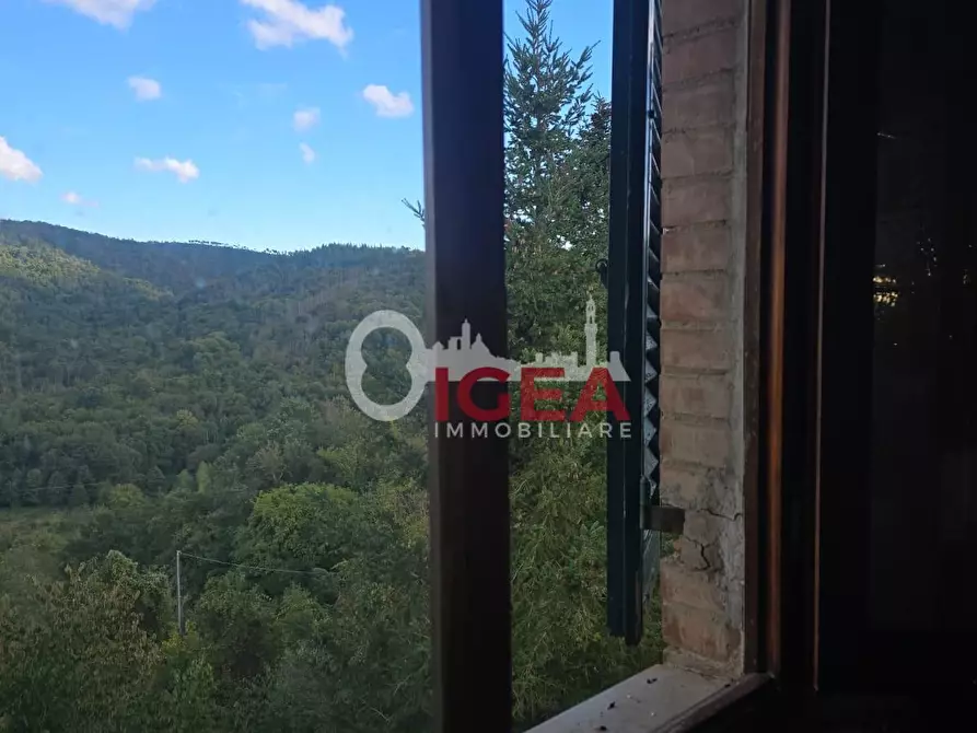 Immagine 26 di Porzione di casa in vendita  a Monticiano