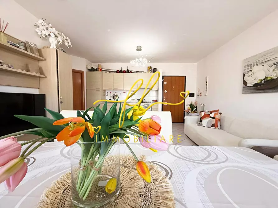 Immagine 6 di Appartamento in vendita  a Cecina