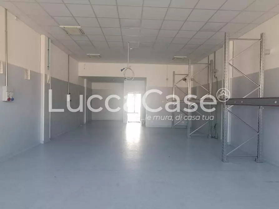 Immagine 3 di Attività artigianale in vendita  a Lucca