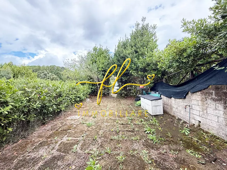 Immagine 18 di Appartamento in vendita  a Riparbella