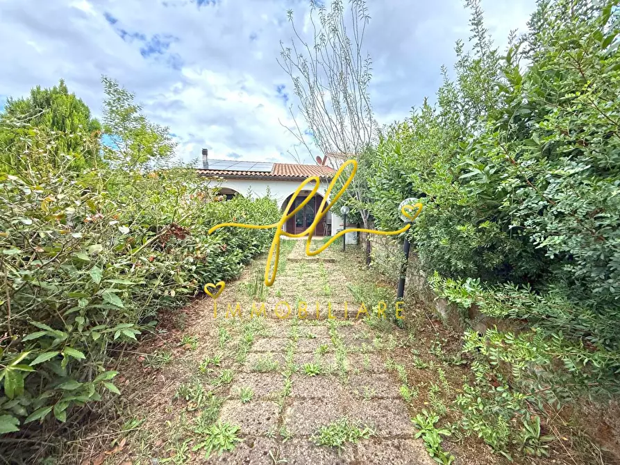 Immagine 1 di Appartamento in vendita  a Riparbella