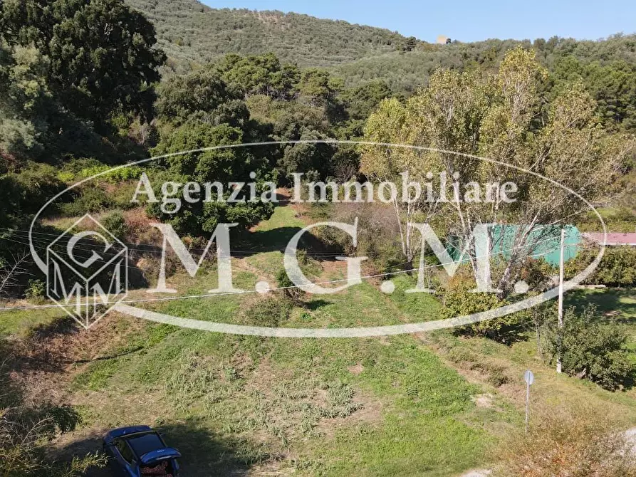 Immagine 21 di Terreno agricolo in vendita  a Buti