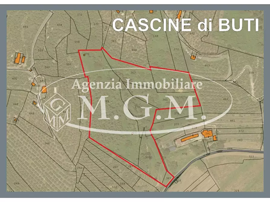 Immagine 30 di Terreno agricolo in vendita  a Buti