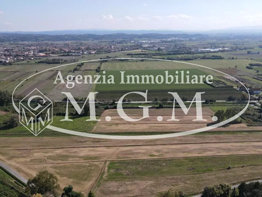 Immagine 11 di Terreno agricolo in vendita  a Buti