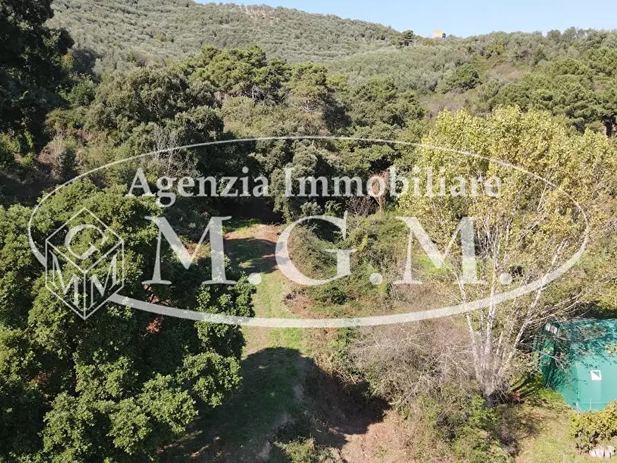 Immagine 23 di Terreno agricolo in vendita  a Buti