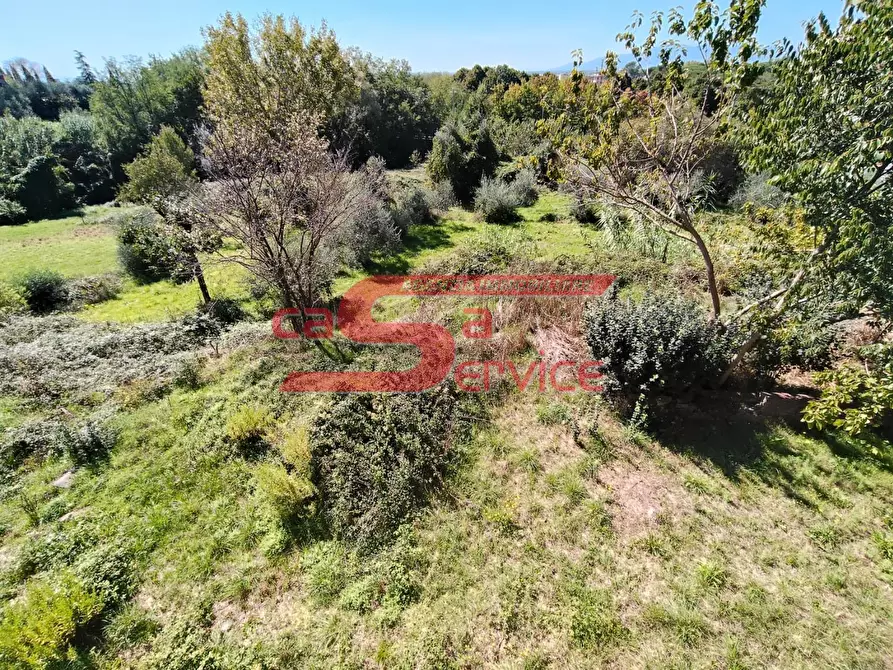Immagine 20 di Casa colonica in vendita  a Montecatini Terme