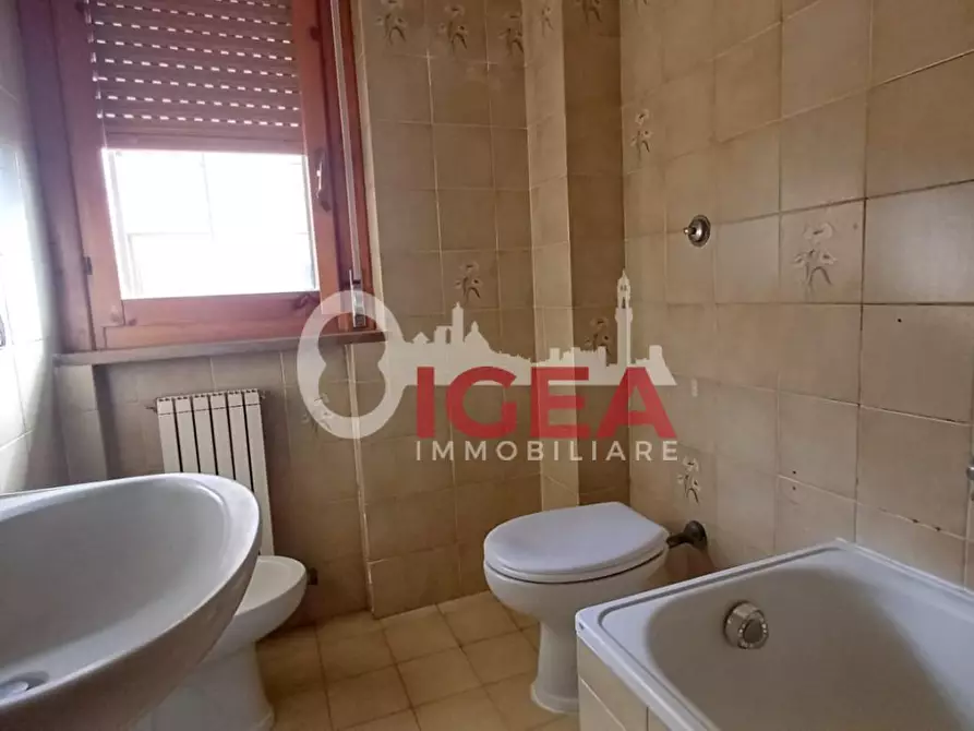 Immagine 5 di Appartamento in vendita  a Sovicille