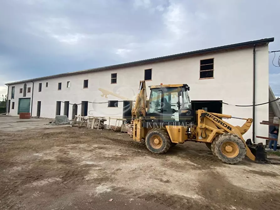 Immagine 10 di Porzione di casa in vendita  a Vecchiano