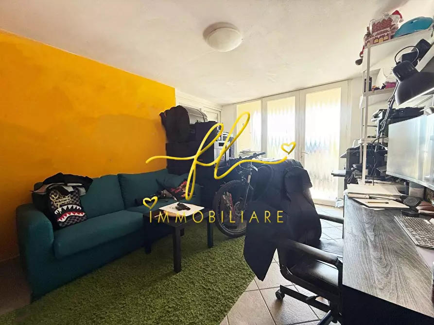 Immagine 27 di Appartamento in vendita  a Montescudaio