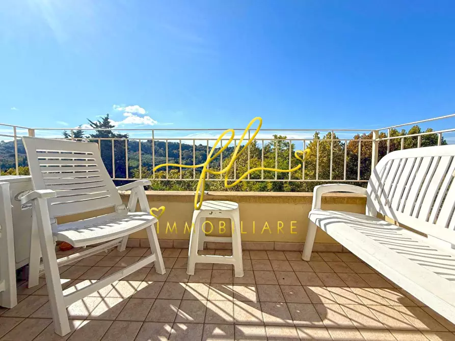 Immagine 11 di Appartamento in vendita  a Montescudaio