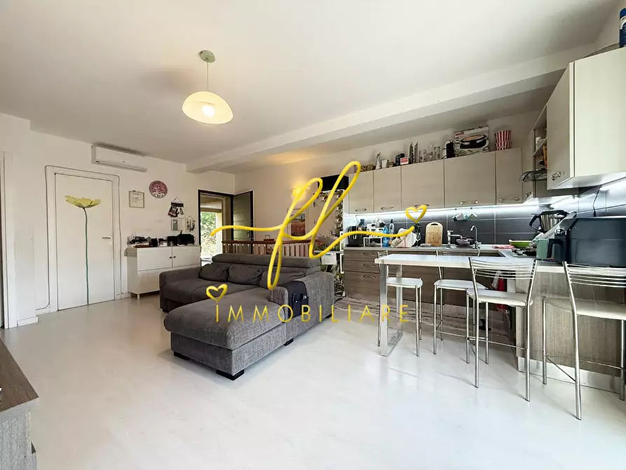 Immagine 6 di Appartamento in vendita  a Montescudaio