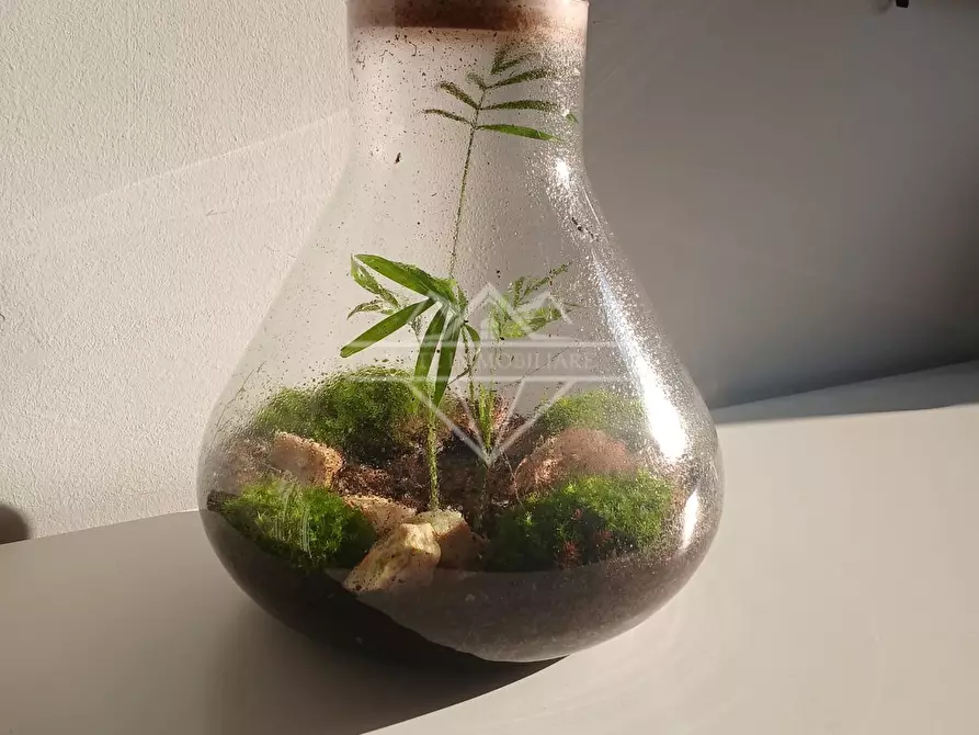 Immagine 8 di Appartamento in vendita  a Carrara