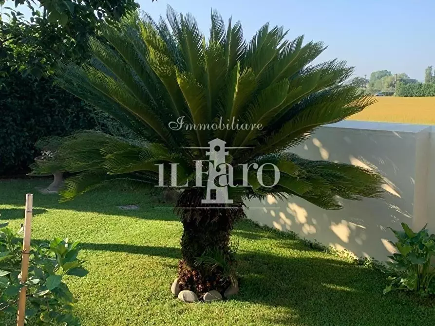 Immagine 2 di Porzione di casa in vendita  a Campi Bisenzio