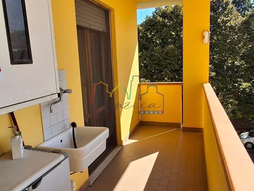 Immagine 12 di Appartamento in vendita  a San Giuliano Terme