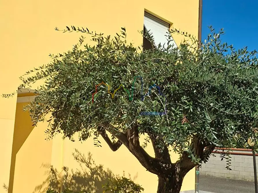 Immagine 10 di Appartamento in vendita  a San Giuliano Terme