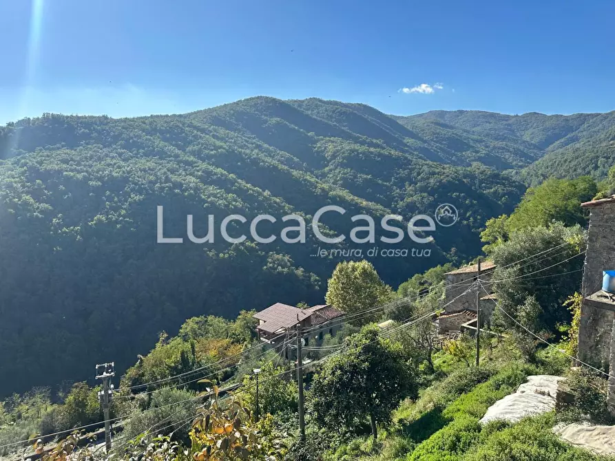 Immagine 23 di Terratetto in vendita  a Villa Basilica