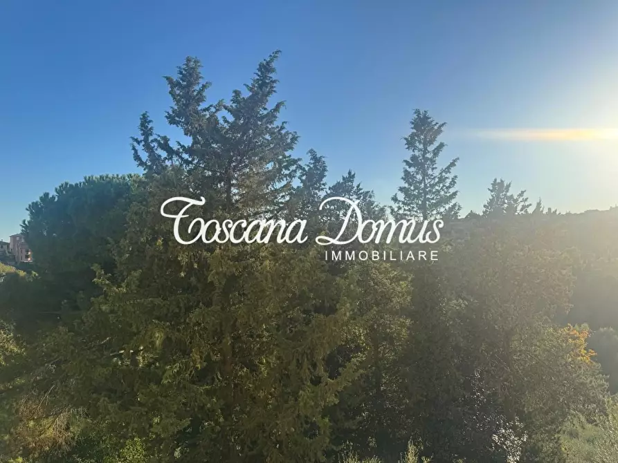 Immagine 7 di Appartamento in vendita  a Siena